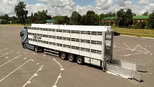 Полуприцеп скотовоз (свиновоз) трёхъярусный  sat600